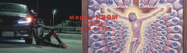 индика Лабытнанги