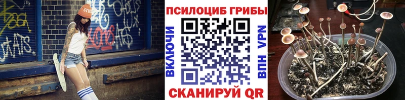 наркошоп  Миньяр  Галлюциногенные грибы Psilocybine cubensis 